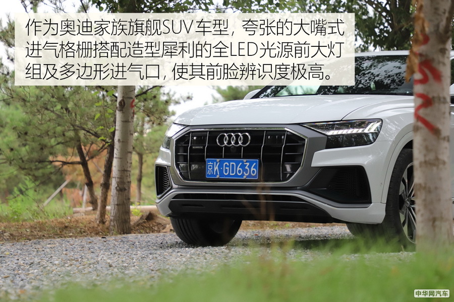 “鲜衣怒马少年时” 实拍奥迪Q8 55TFSI