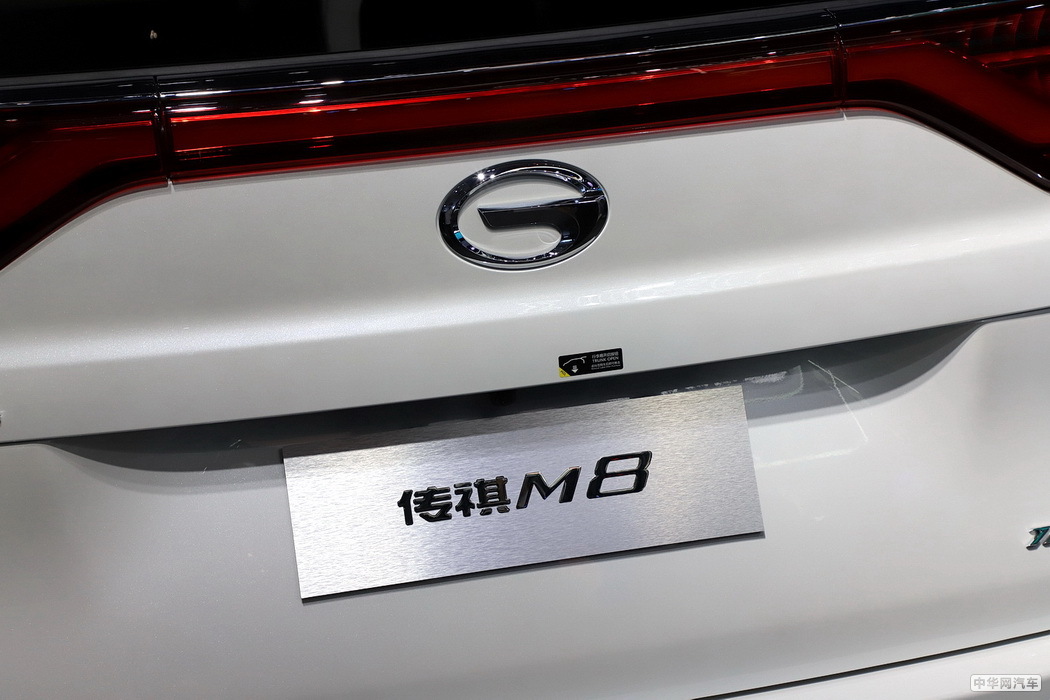 传祺GM8 2021款 大师系列 390T 至尊版 组图